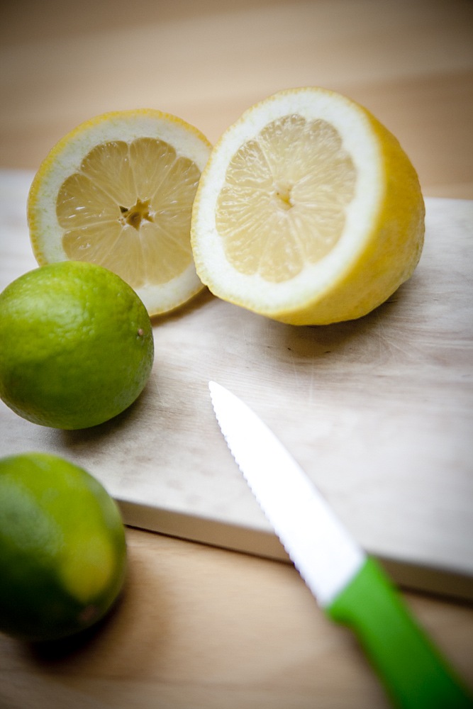 Zitronen und Limetten – Das Leben als Gesamtkunstwerk